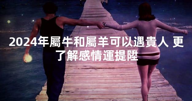 2024年屬牛和屬羊可以遇貴人 更了解感情運提陞